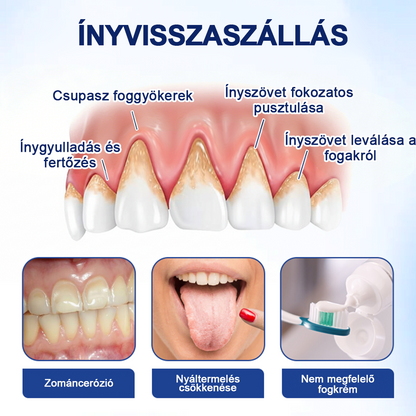 HEATWOLF® BeeTakt Szájápoló Regeneráló Oldat 🦷Fejlett bioaktív formula a szájüreg átfogó regeneráló támogatására